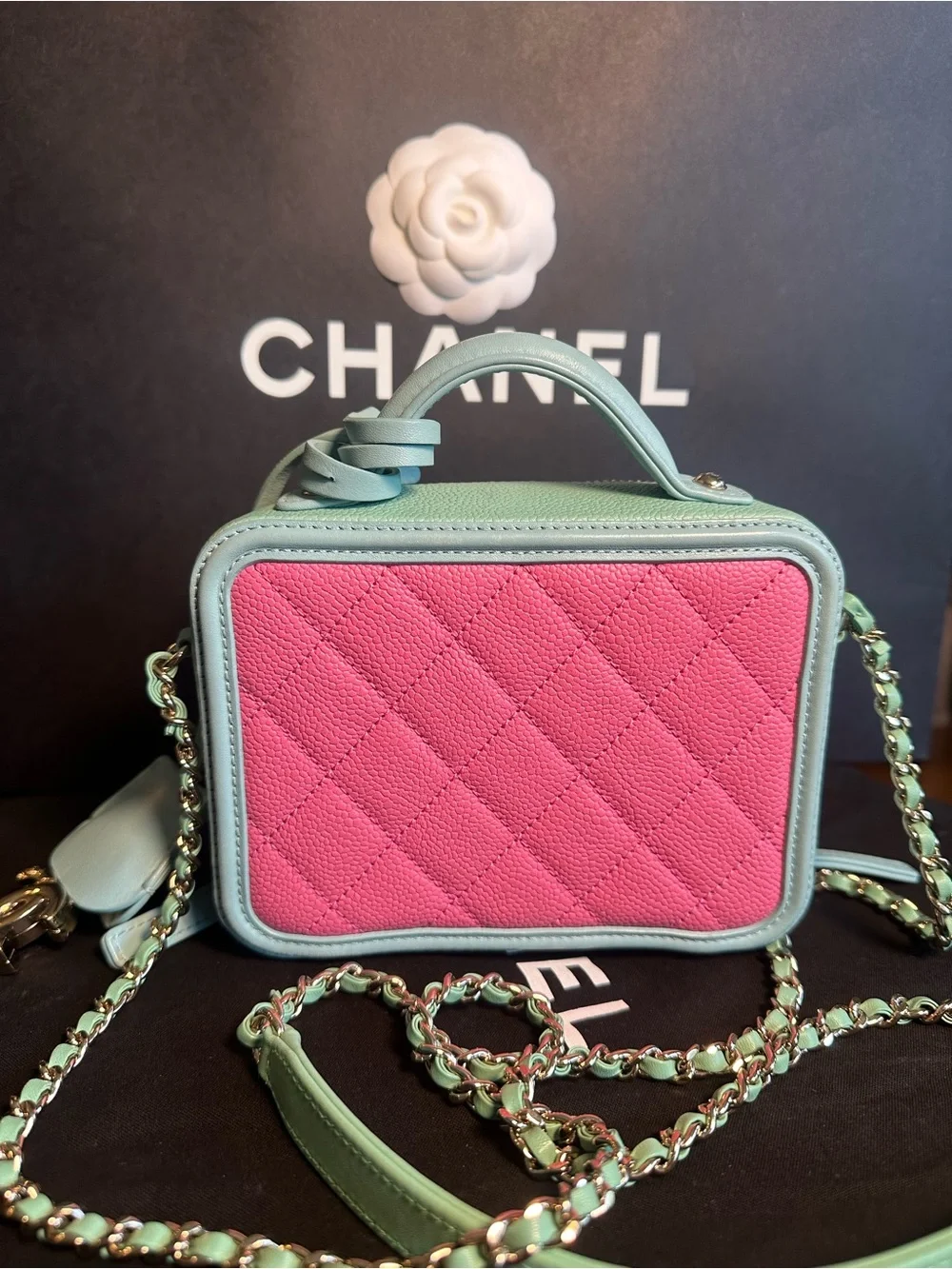 Chanel CC Filigree Small Vanity Case Pink Green Caviar Leather Crossbody